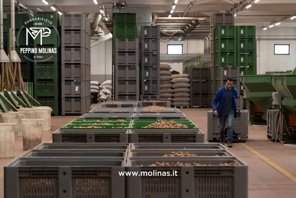 sugherificio molinas