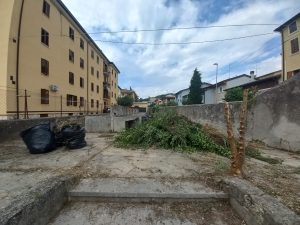 Progetto scout dove c'è cura c'è comunità