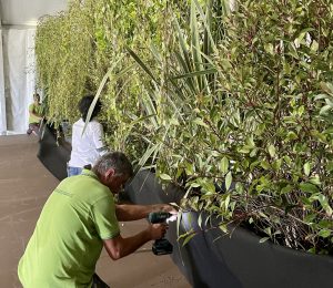 allestimento flover