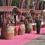 Palio del Chiaretto, quando il lago di Garda si veste di “rosato”