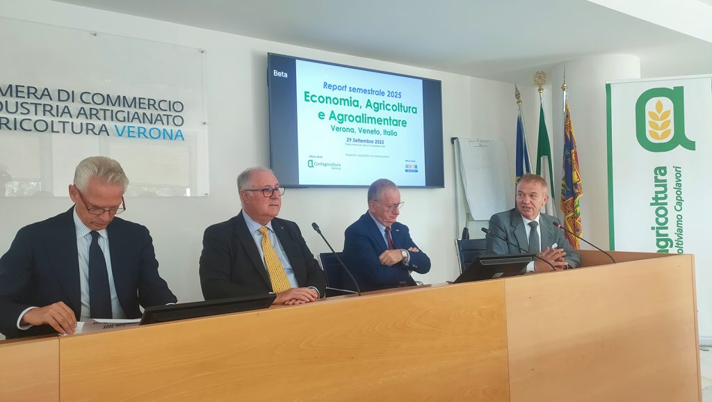 export agroalimentare verona