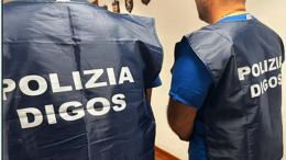 digos verona